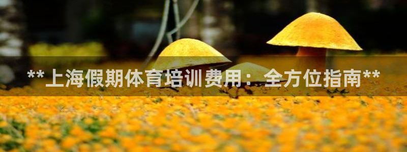 ZL尊龙凯时平台：**上海假期体育培训费用：全方位指