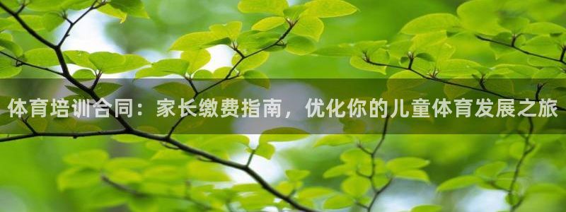 尊龙人生就是博旗舰厅：体育培训合同：家长缴费指南，优
