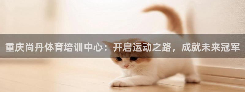 z6尊龙凯时旗：重庆尚丹体育培训中心：开启运动之路，