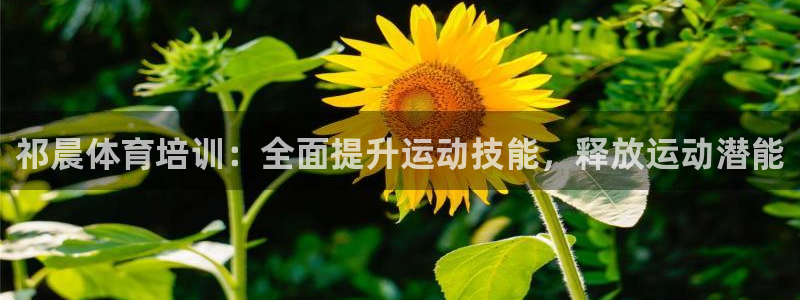 凯时国际平台有人赢吗：祁晨体育培训：全面提升运动技能