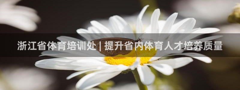 尊龙用现金娱乐一下下载旧：浙江省体育培训处 | 提升
