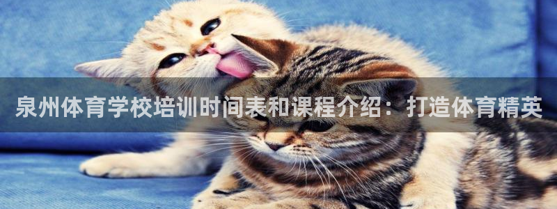 尊龙AG旗舰厅APP：泉州体育学校培训时间表和课程介