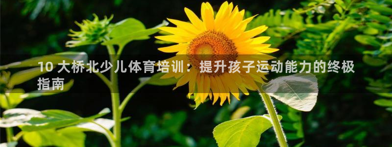 尊龙人生就是博旗舰厅