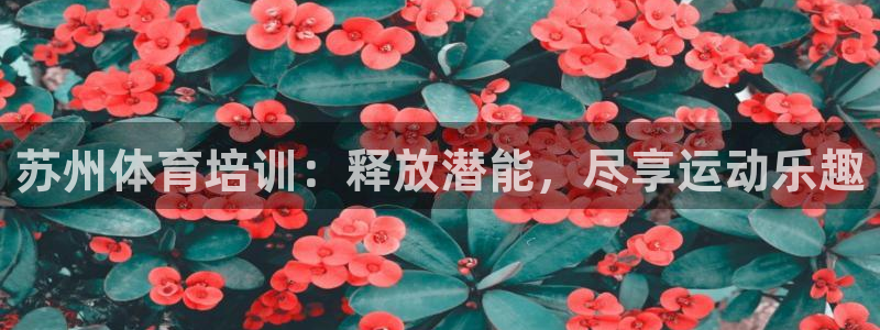 尊龙凯时的企业文化