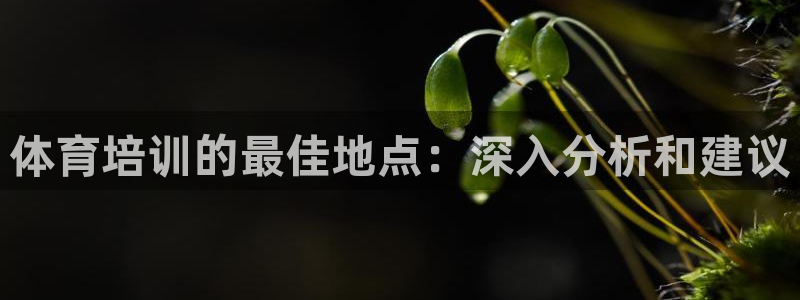 尊龙人生就是博官：体育培训的最佳地点：深入分析和建议