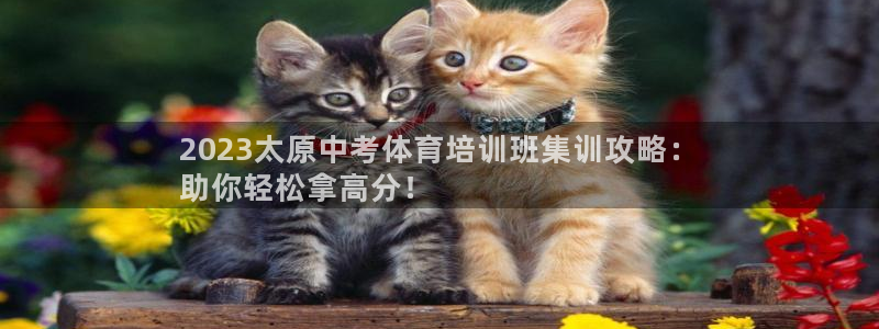 尊龙凯时 人生就是搏!