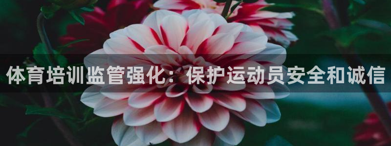 尊龙凯时存款多久到账