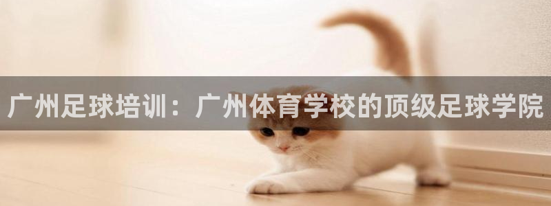 尊龙登录会员登录：广州足球培训：广州体育学校的顶级足球学院