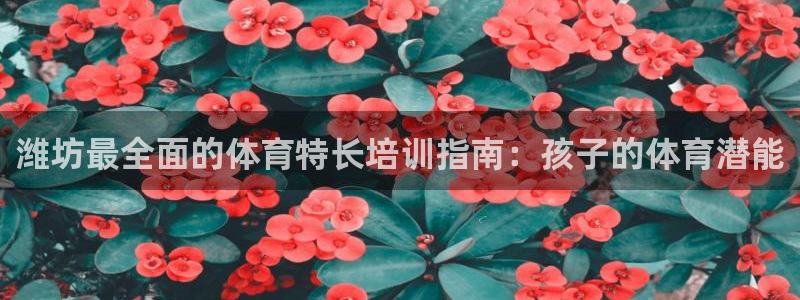 尊龙人生就是博旧：潍坊最全面的体育特长培训指南：孩子
