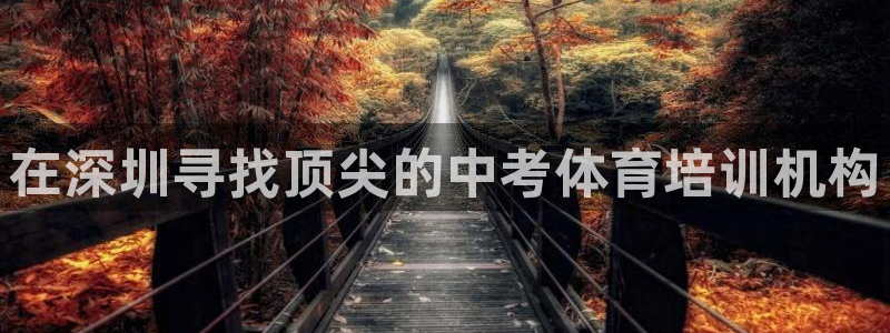 尊龙凯时输了100万