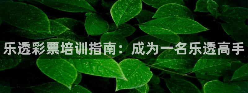 尊龙凯时口碑好吗：乐透彩票培训指南：成为一名乐透高手