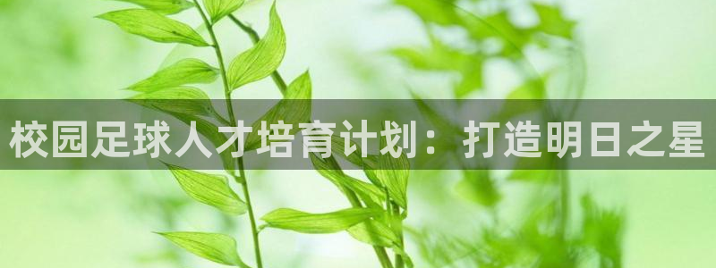 尊龙手机版下载：校园足球人才培育计划：打造明日之星