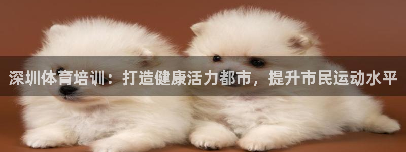 尊龙t600怎么样：深圳体育培训：打造健康活力都市，