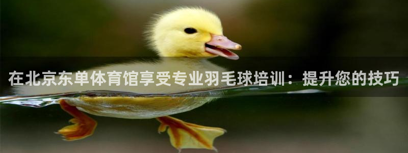 kb88凯时唯一官网注册：在北京东单体育馆享受专业羽毛球培训