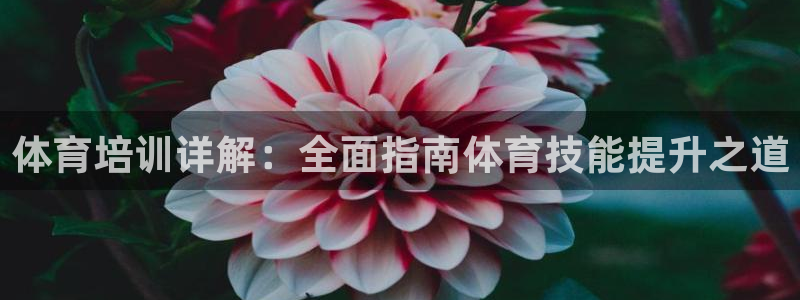 K66凯时国际平台官网：体育培训详解：全面指南体育技能提升之