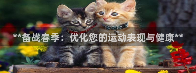 尊龙官网APP下载：**备战春季：优化您的运动表现与健康**