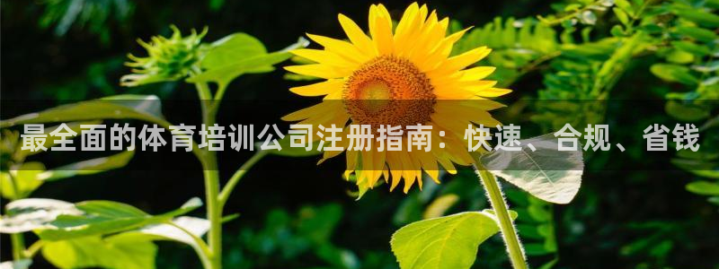 凯时国际app首页：最全面的体育培训公司注册指南：快