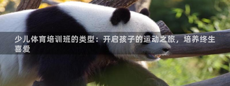 尊龙凯时人生就是搏官方网站：少儿体育培训班的类型：开启孩子的