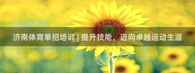 尊龙凯时取款24小时不到账