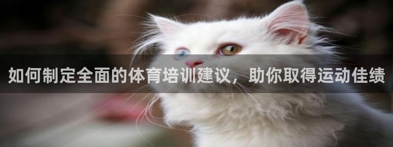 凯时尊龙平台登录：如何制定全面的体育培训建议，助你取