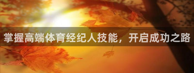 尊龙凯时集团：掌握高端体育经纪人技能，开启成功之路