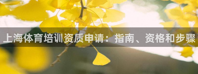 尊龙凯时新闻：上海体育培训资质申请：指南、资格和步骤