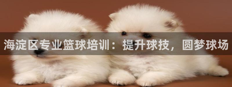 尊龙集团有限公司官网：海淀区专业篮球培训：提升球技，