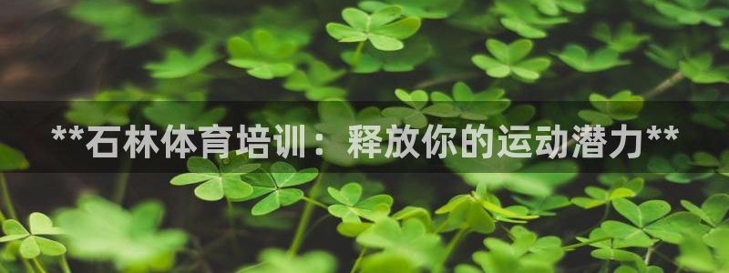 凯时AG网：**石林体育培训：释放你的运动潜力**