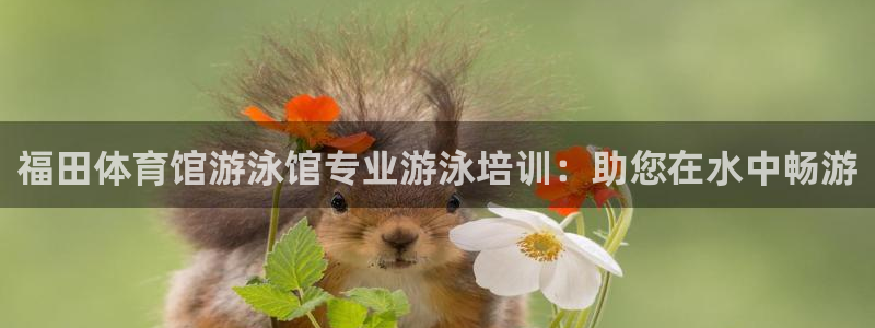 尊龙凯时网站不让提款：福田体育馆游泳馆专业游泳培训：