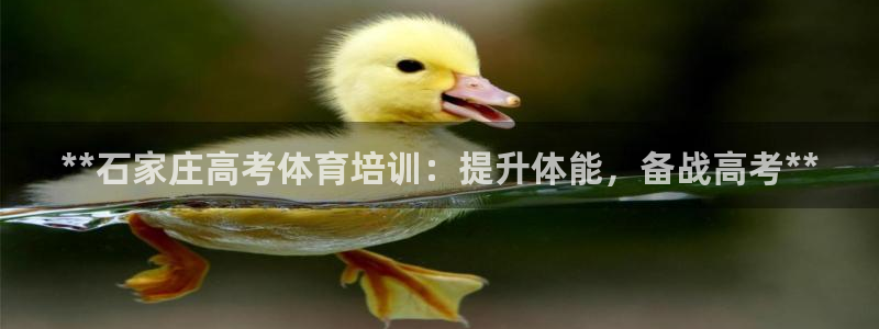 尊龙凯时vip：**石家庄高考体育培训：提升体能，备