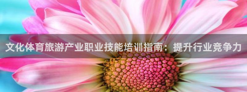 尊龙专访：文化体育旅游产业职业技能培训指南：提升行业竞争力