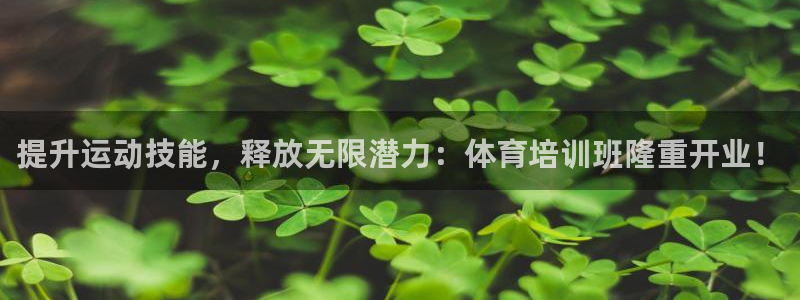 尊龙手机版：提升运动技能，释放无限潜力：体育培训班隆