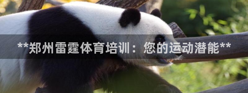 尊龙官网/首选kpm：**郑州雷霆体育培训：您的运动
