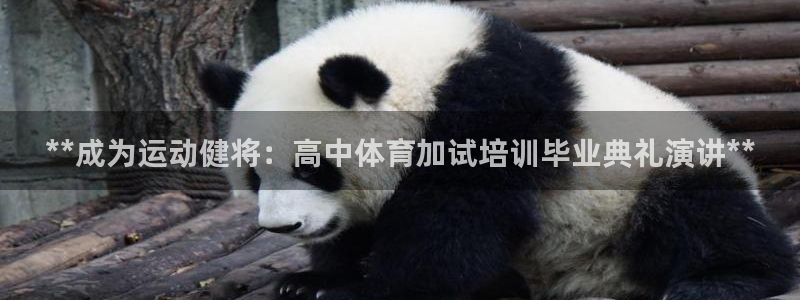 尊龙凯时品牌介绍：**成为运动健将：高中体育加试培训