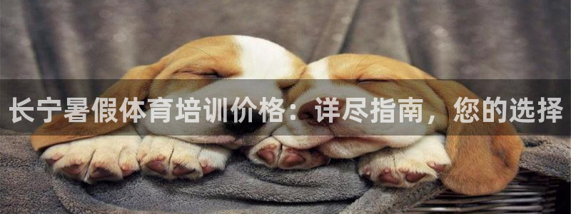 尊龙凯时-人生就是博中国官网：长宁暑假体育培训价格：
