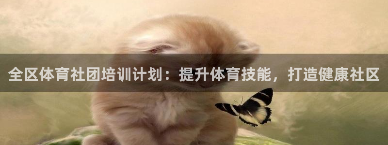 尊龙凯时取款不成功：全区体育社团培训计划：提升体育技
