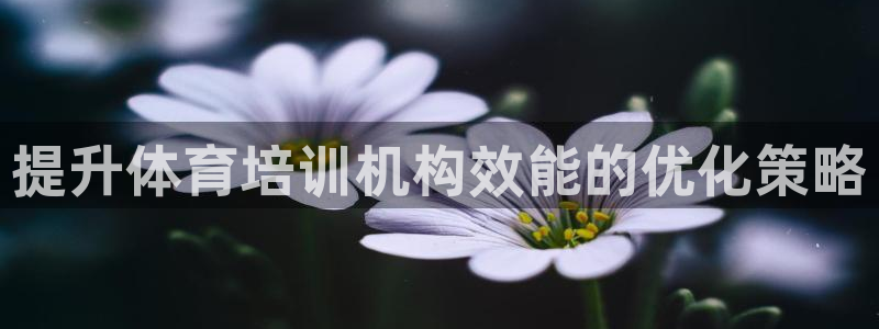 z6尊龙凯时旗舰厅首页：提升体育培训机构效能的优化策略