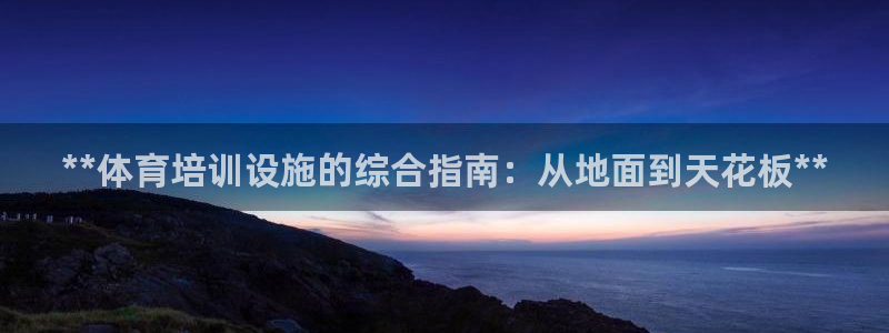 尊龙旗舰店：**体育培训设施的综合指南：从地面到天花