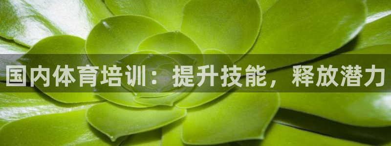 尊龙凯时人生就是博·(中国)官网最新：国内体育培训：