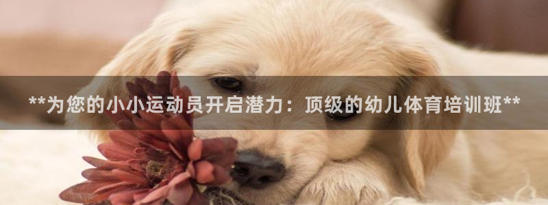 尊龙新版app：**为您的小小运动员开启潜力：顶级的