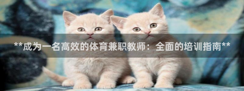 尊龙贴吧：**成为一名高效的体育兼职教师：全面的培训