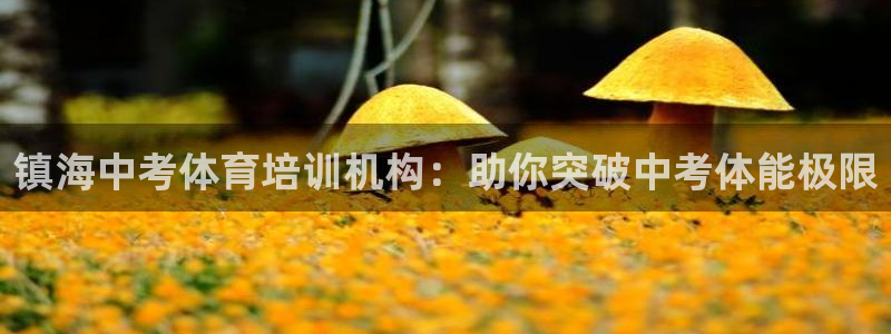 凯时国际app首页登录入口：镇海中考体育培训机构：助