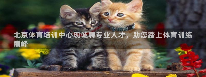 尊龙中国：北京体育培训中心现诚聘专业人才，助您踏上体