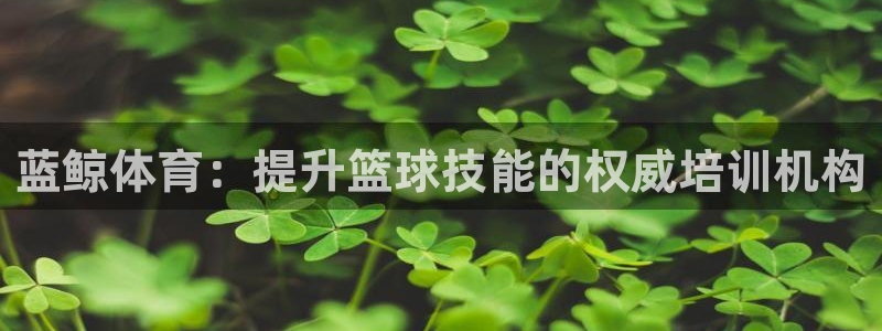 尊龙网站人生就是博：蓝鲸体育：提升篮球技能的权威培训