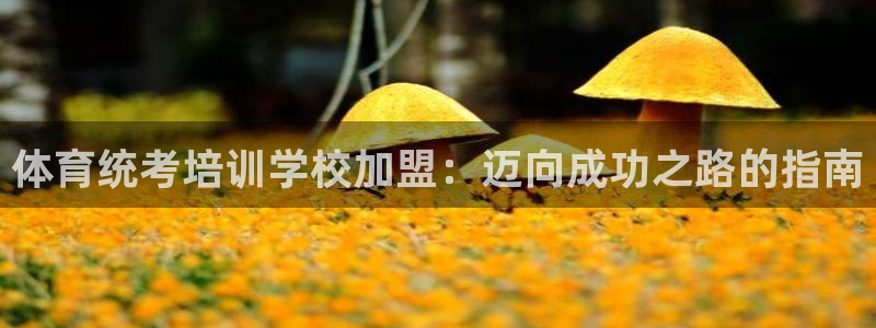 尊龙凯时白家乐：体育统考培训学校加盟：迈向成功之路的