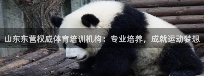 尊龙凯时旗舰厅官网：山东东营权威体育培训机构：专业培