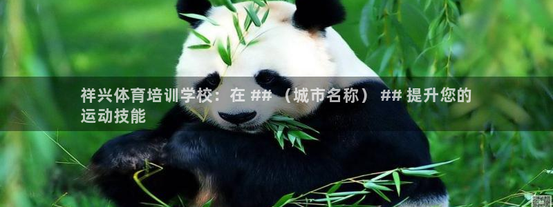 尊龙凯时-人生就是博中国官网：祥兴体育培训学校：在 