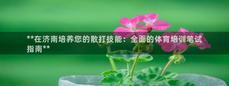 尊龙体育怎么样：**在济南培养您的散打技能：全面的体