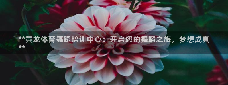 尊龙一人生就是博电子游戏：**黄龙体育舞蹈培训中心：