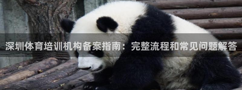 尊龙手机端下载：深圳体育培训机构备案指南：完整流程和